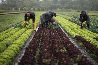 A fin juin 2023, 45% des travailleurs étrangers en Suisse étaient employés dans une activité de courte durée, soit de moins de 3 mois.